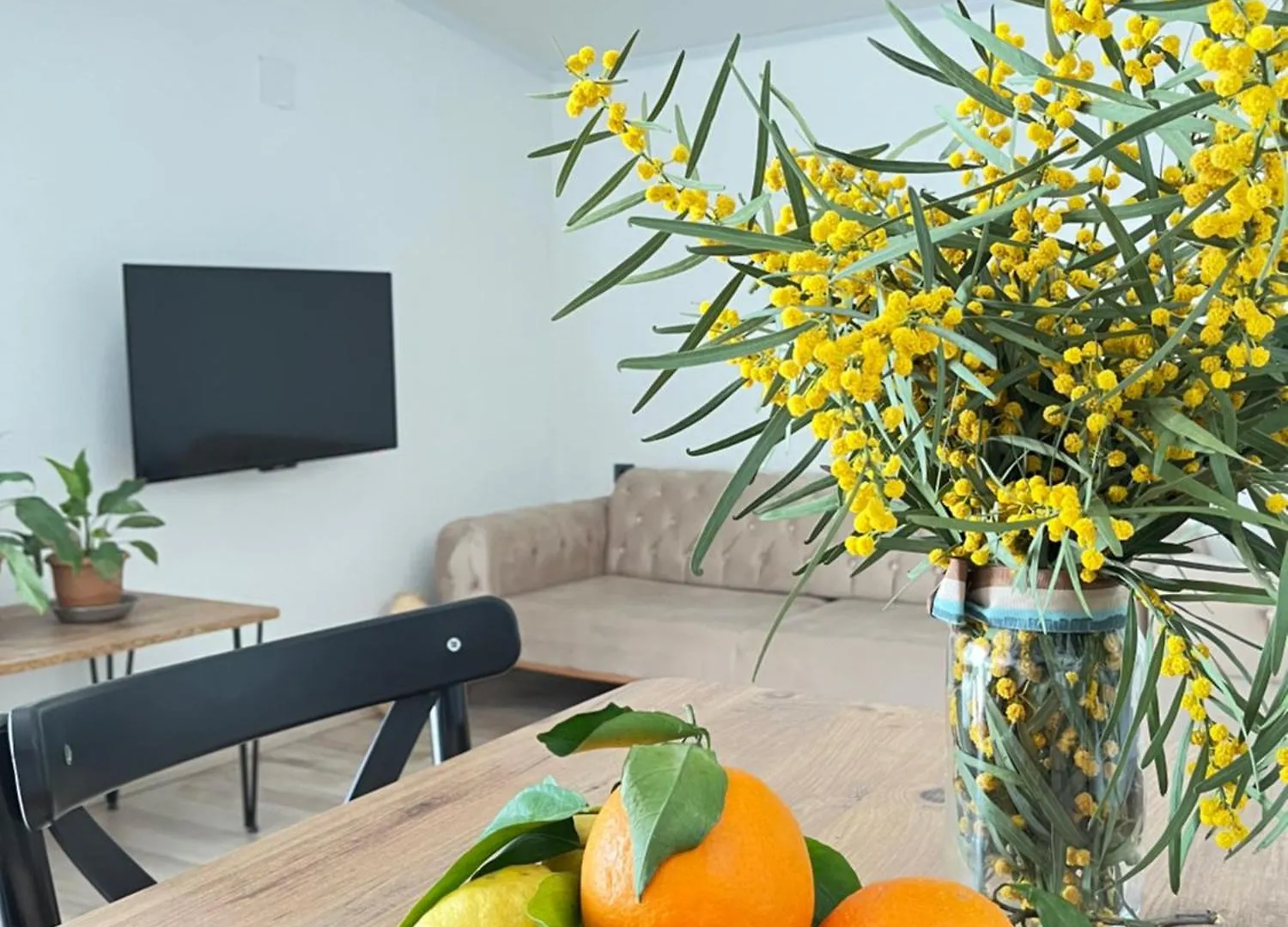 Aden Pet Apartment Fethiye